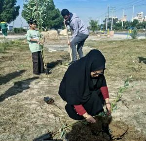 برگزاری پویش «درختکاری در سایه مادر» در منطقه آزاد اروند