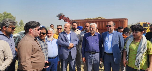 شرکت توسعه نیشکر و صنایع جانبی