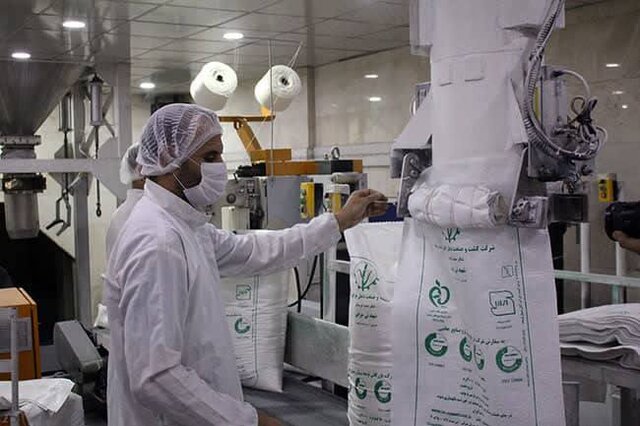 شرکت توسعه نیشکر