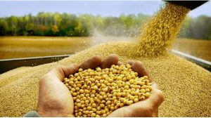 امنیت غذایی یا امنیت رانت؟؛تصمیم پرابهام جهاد کشاورزی